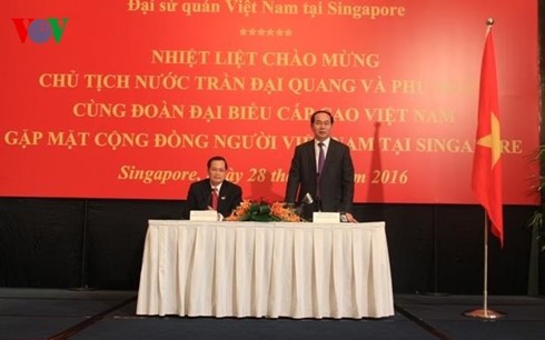 Staatspräsident Tran Dai Quang besucht vietnamesische Botschaft in Singapur - ảnh 1